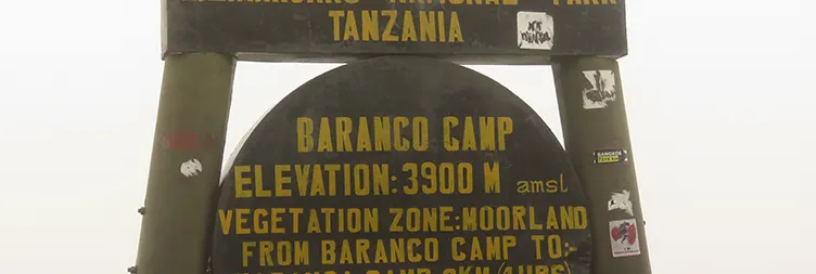 Barafu Camp to Uhuru Peak â€“ Back to Barafu Camp then to Mweka Camp